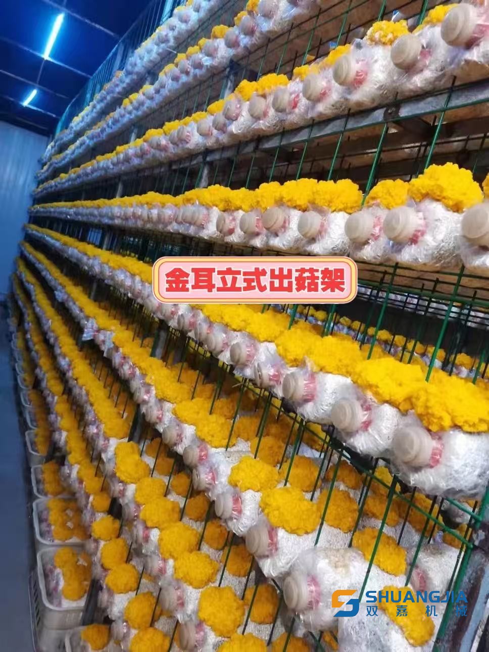 微信图片_20260305202231.jpg